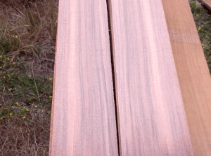 Old growth 'sinker wood'.